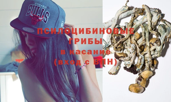 прущий лед Арсеньев