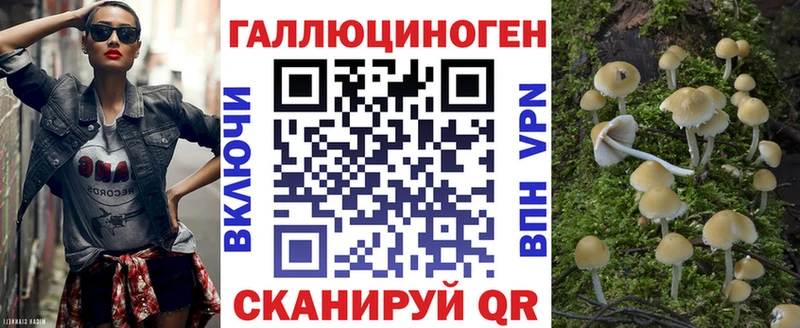 Галлюциногенные грибы GOLDEN TEACHER  Купить закладки  Урень 